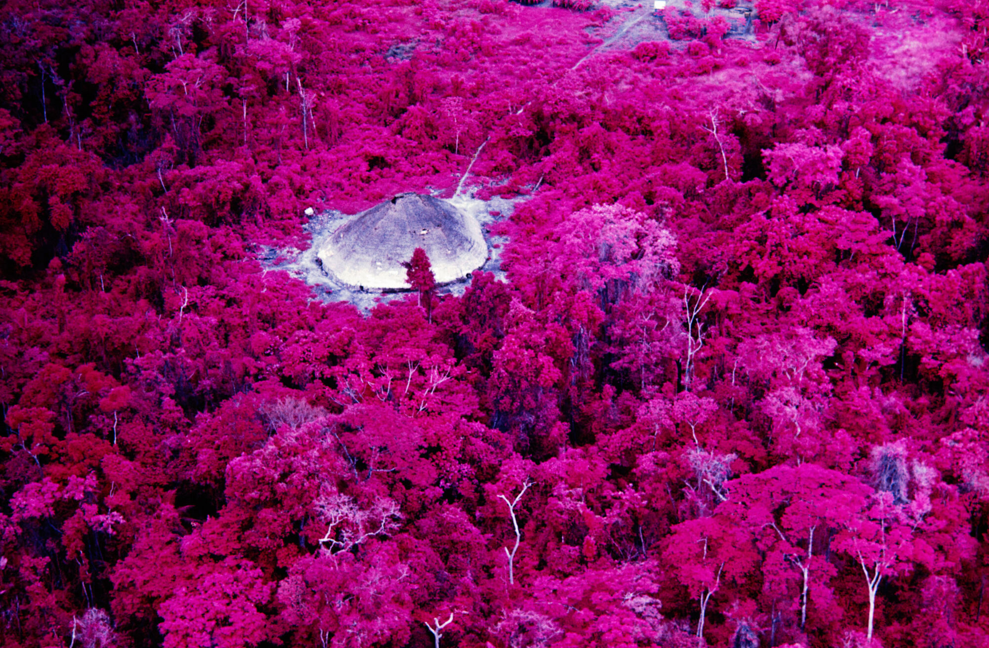 Claudia Andujar, <span class="u-italic400">Collective house near the Catholic mission on the Catrimani River, Roraima state</span>, 1976. Mineral pigment print, from infrared film. (68.5 x 102.5 cm). Instituto Moreira Salles Collection 