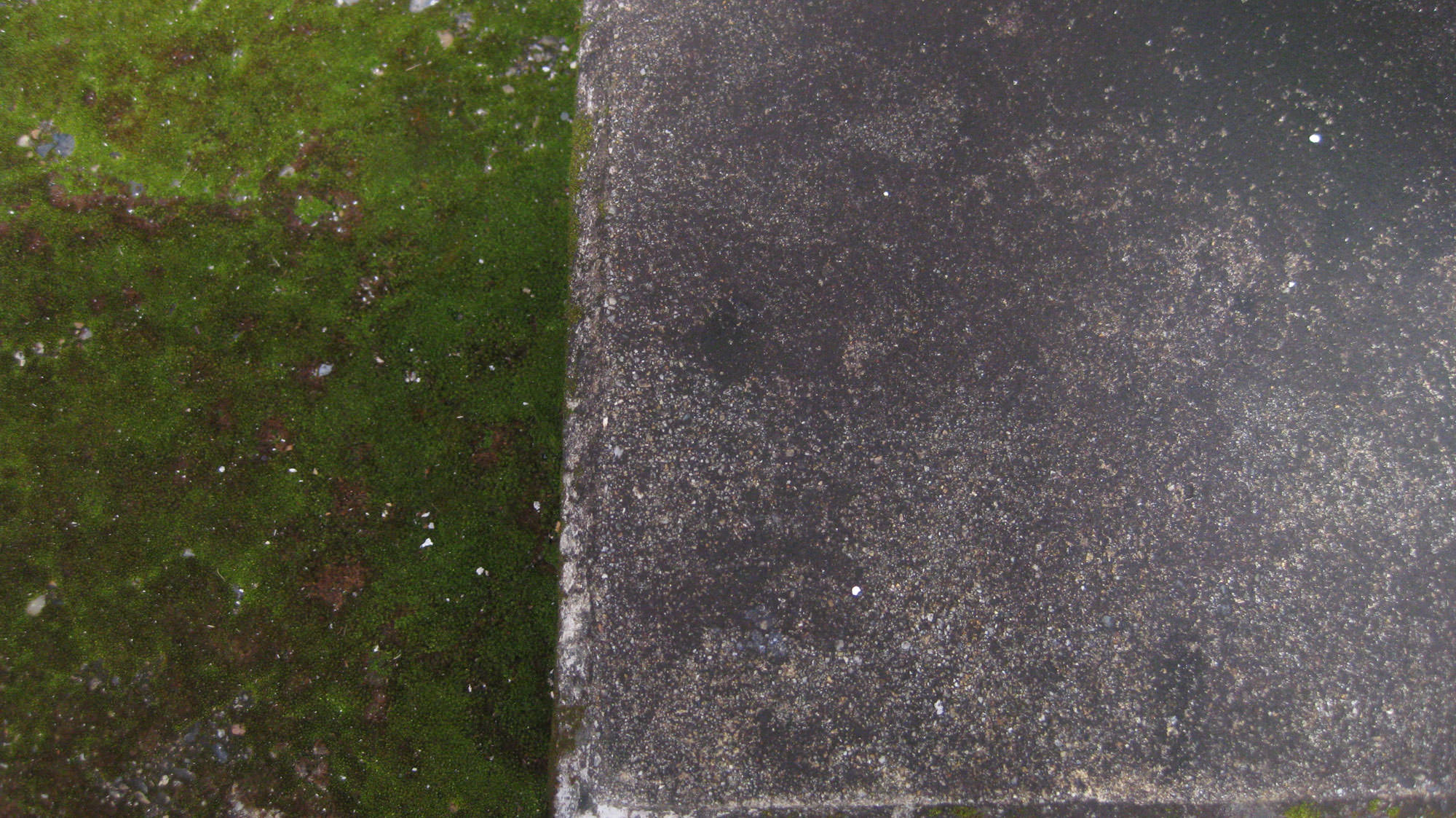 Winner - Elementary School Grade 1 - 4<br />
Green and Stone | Hayato Nagayoshi (Kyoto City Otowa Jidokan Grade 3)