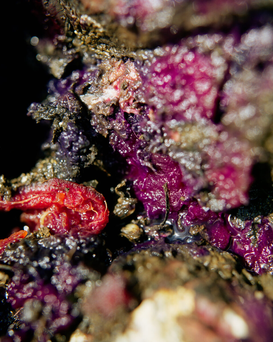 © Atsushi Fukushima