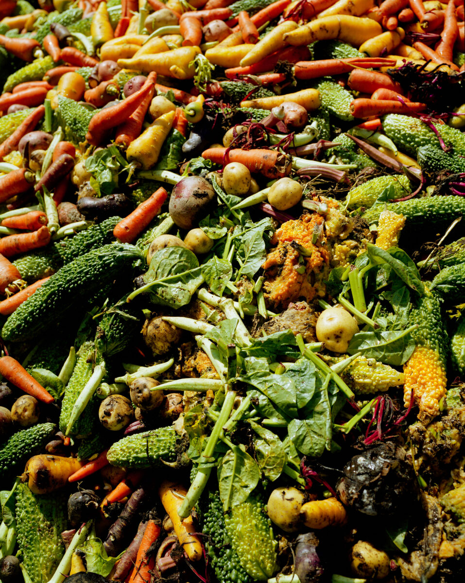 © Atsushi Fukushima