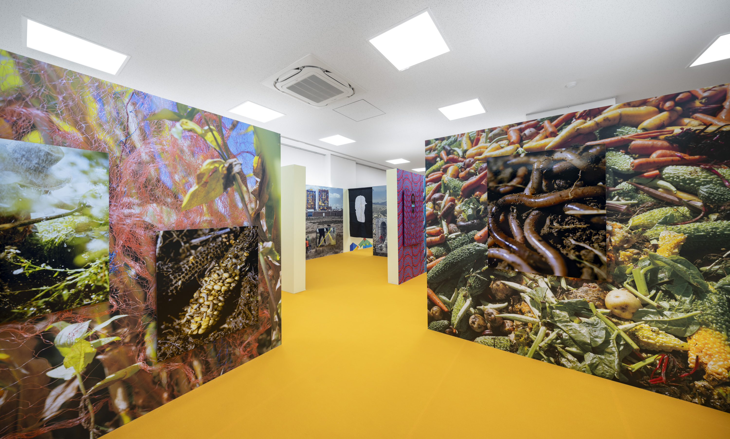 Exhibitions for Kids – KYOTOGRAPHIE 京都国際写真祭